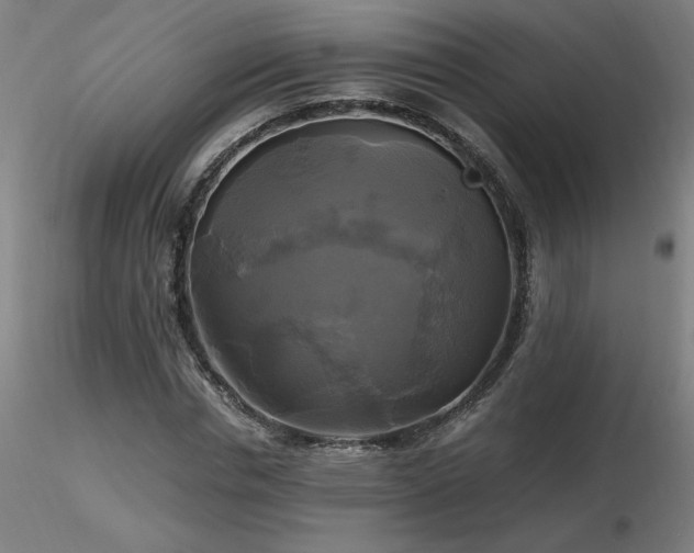 X0000116800826200912181315