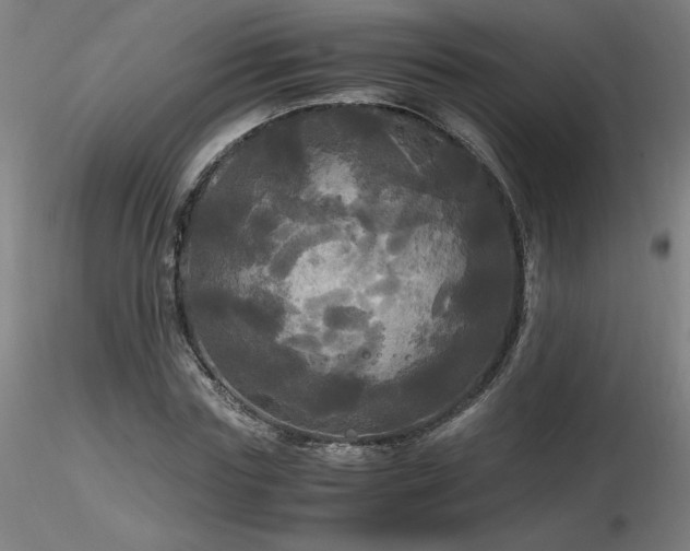 X0000116800827200912181315