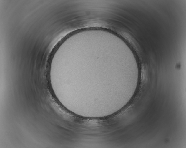 X0000116800828200912181315