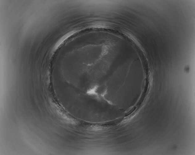 X0000116800829200912181315