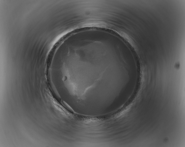 X0000116800830200912181316