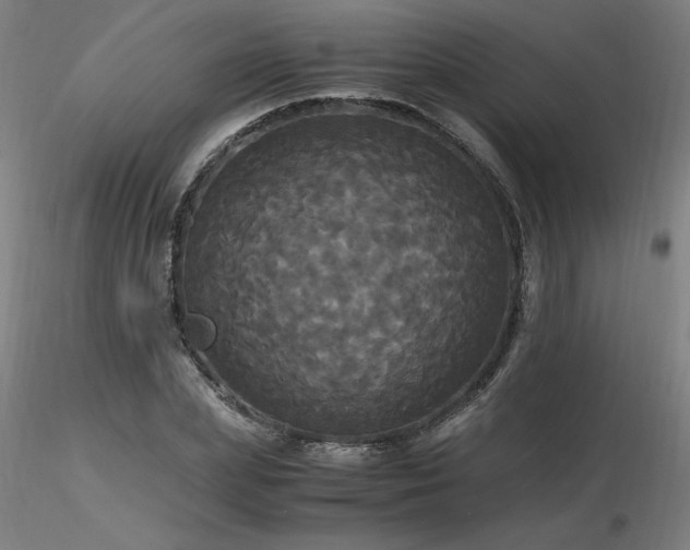 X0000116800831200912181316