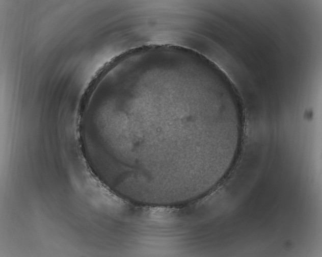 X0000116800832200912181316