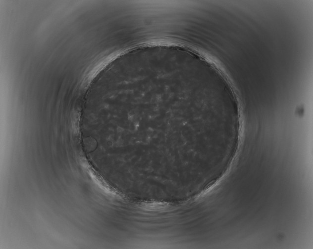 X0000116800833200912181316