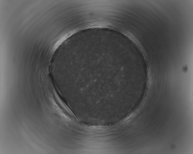 X0000116800834200912181316