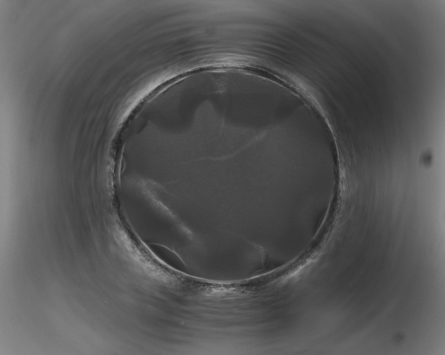 X0000116800835200912181316