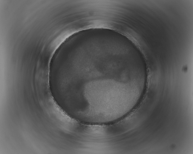 X0000116800836200912181316