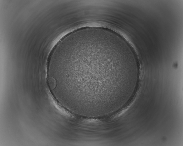 X0000116800837200912181316