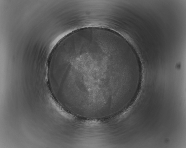 X0000116800838200912181316