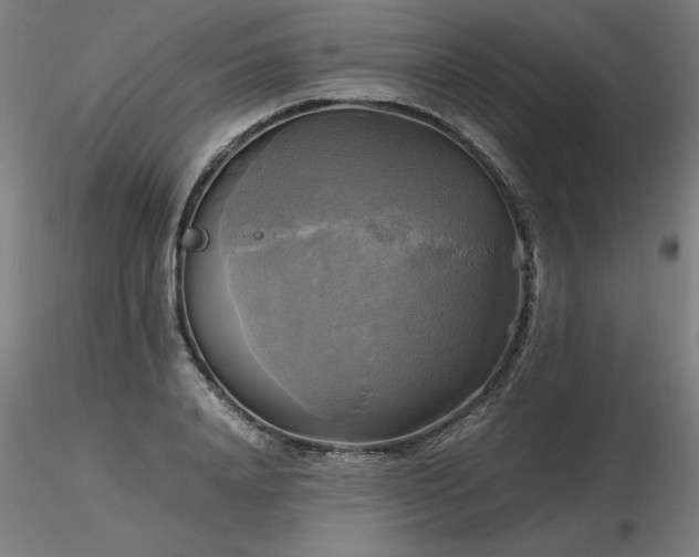 X0000116800840200912181316