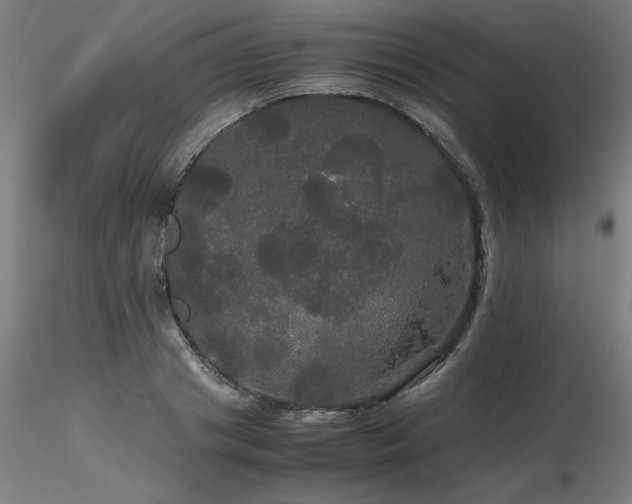 X0000116800841200912181316