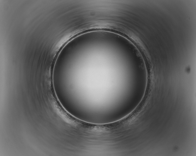 X0000116800842200912181316