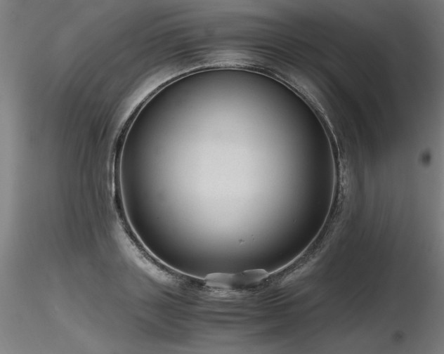 X0000116800843200912181316
