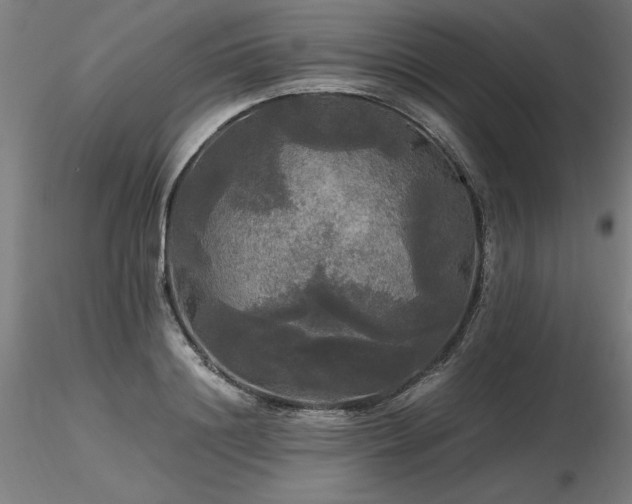 X0000116800844200912181316