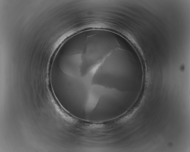 X0000116800845200912181316
