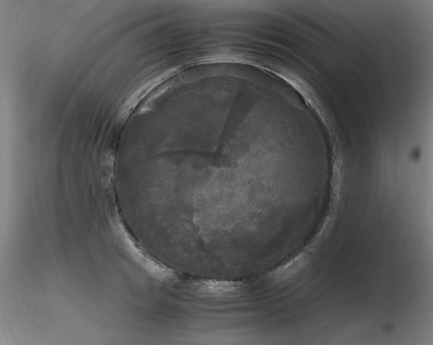 X0000116800849200912181316
