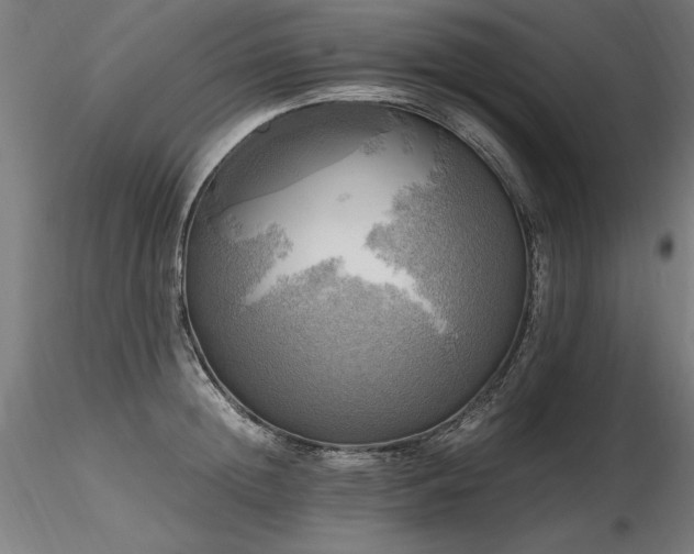 X0000116800852200912181316