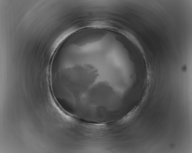 X0000116800855200912181316