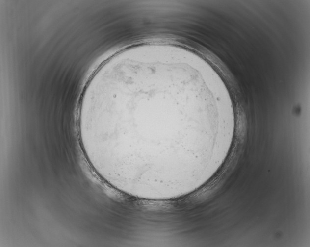 X0000116800856200912181316