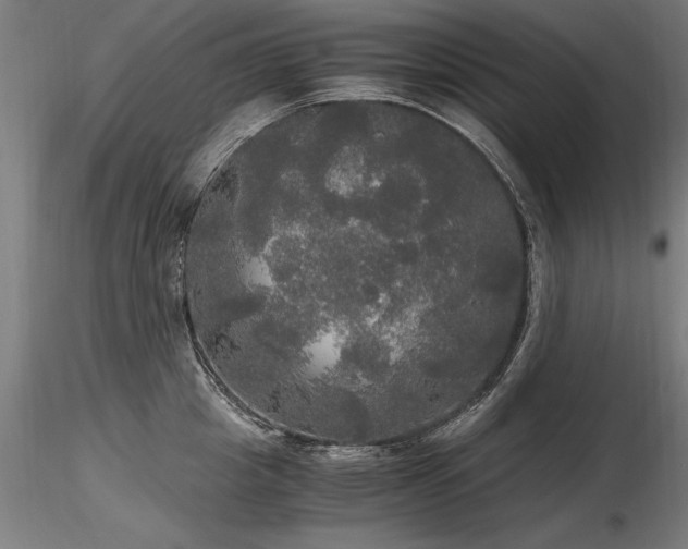 X0000116800857200912181316