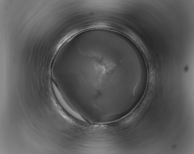 X0000116800858200912181316