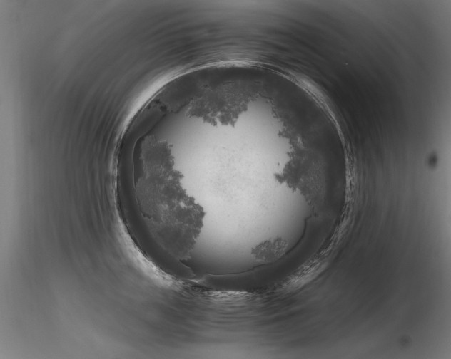 X0000116800859200912181316