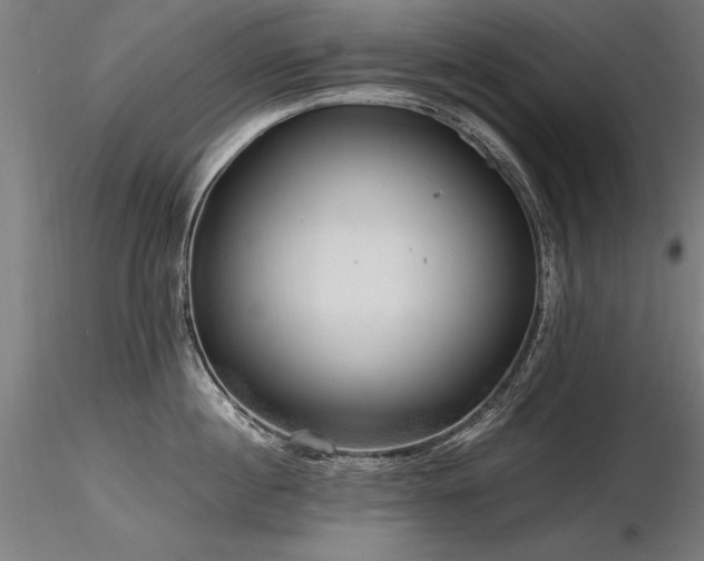 X0000116800860200912181316