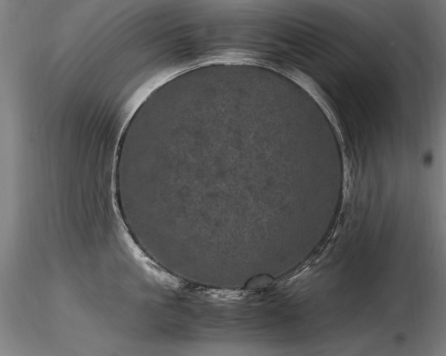 X0000116800861200912181316