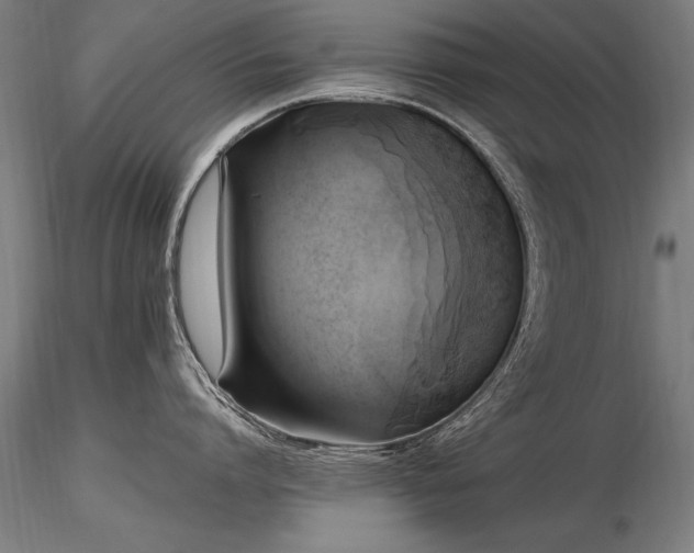 X0000116800864200912181316