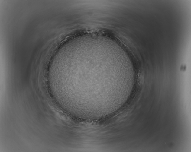 X0000116800865200912181315