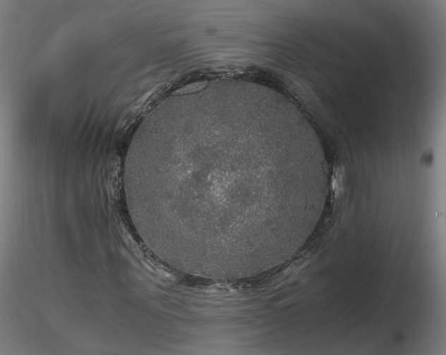 X0000116800867200912181315