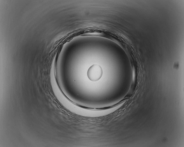 X0000116800869200912181315