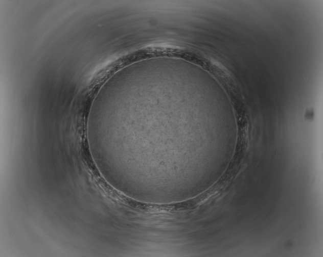 X0000116800870200912181315
