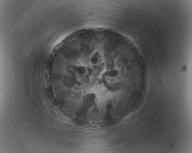 X0000116800871200912181315
