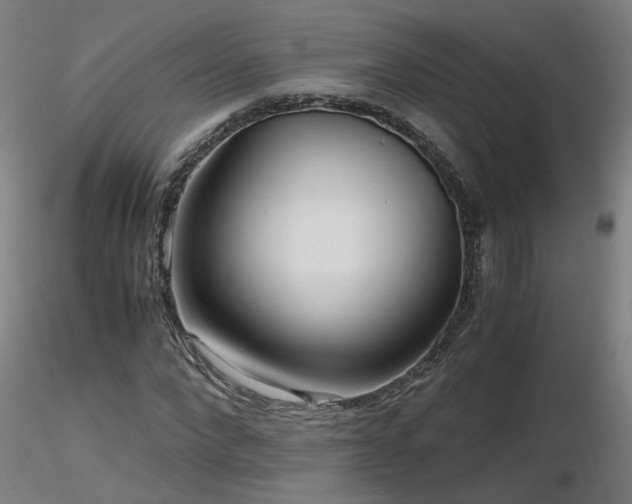 X0000116800872200912181315