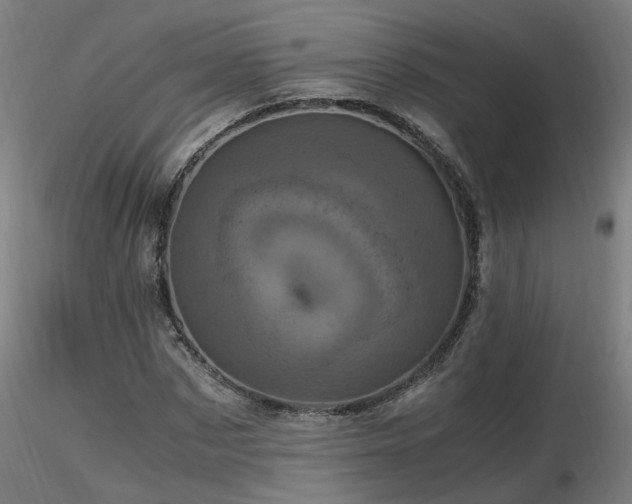 X0000116800873200912181315