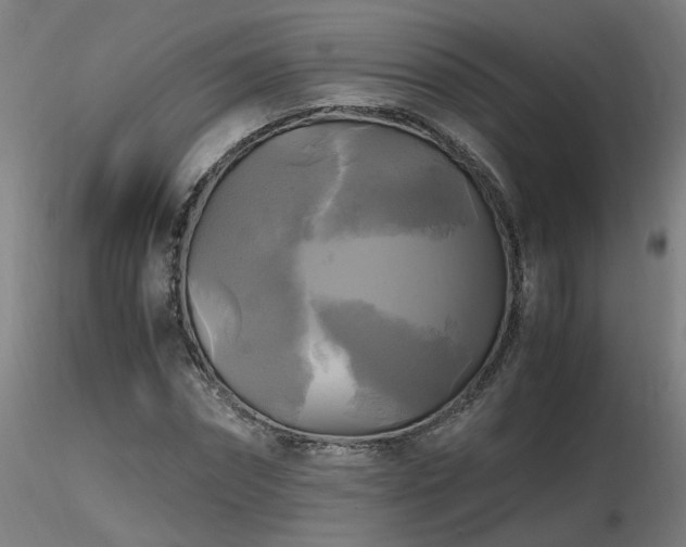 X0000116800874200912181315