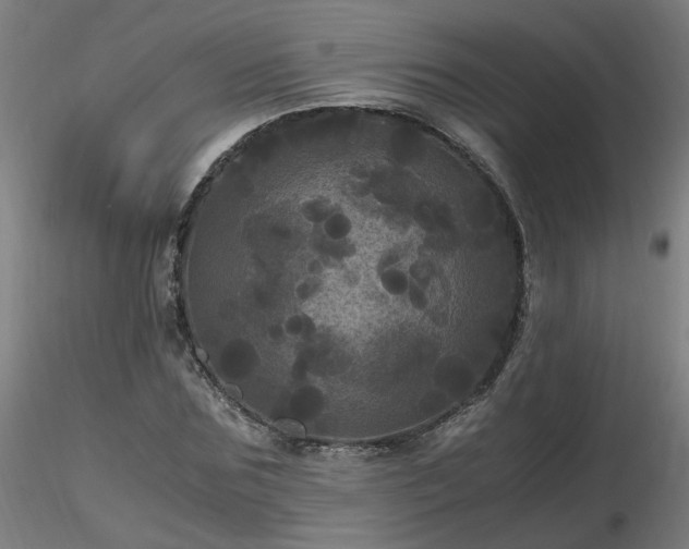 X0000116800875200912181315