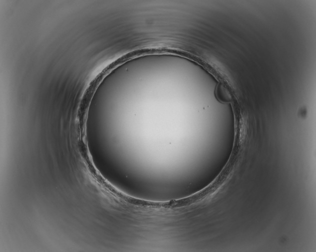 X0000116800876200912181315