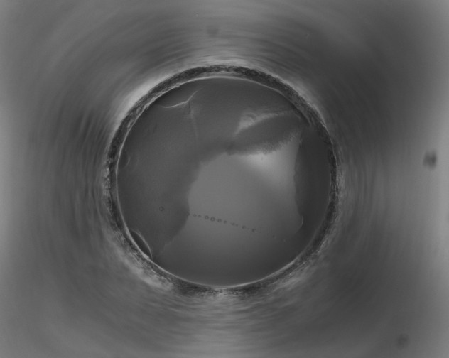 X0000116800879200912181315