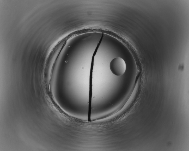 X0000116800880200912181315