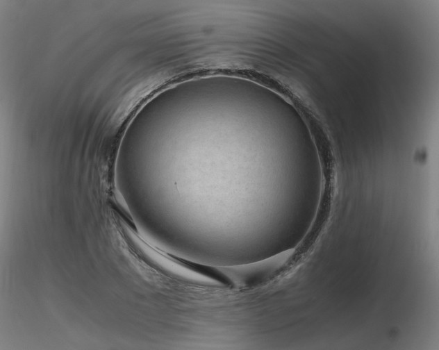 X0000116800881200912181315