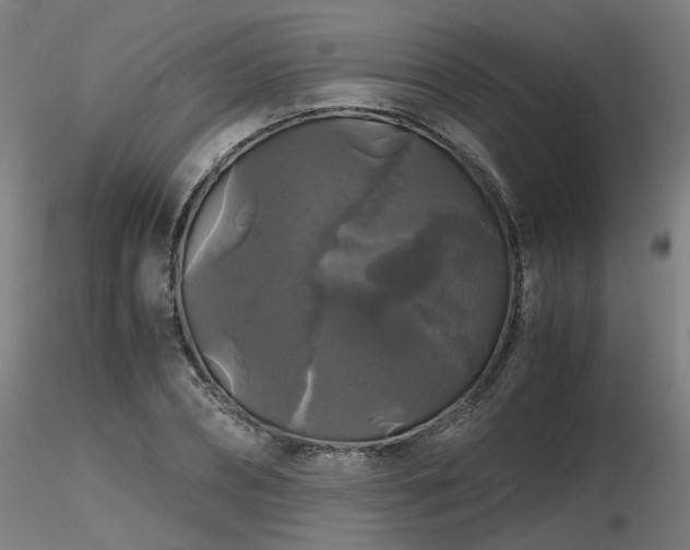 X0000116800882200912181315