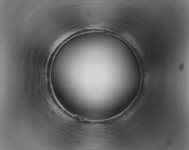 X0000116800884200912181315