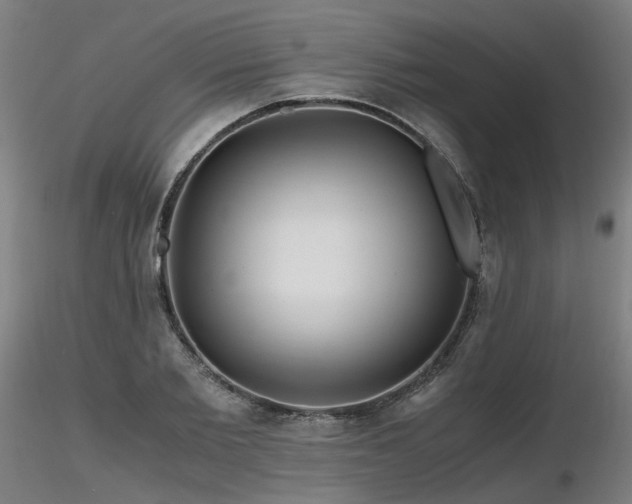 X0000116800885200912181315