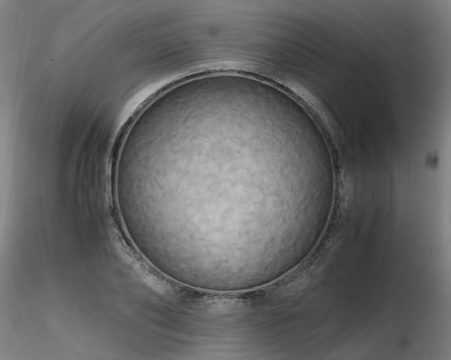 X0000116800886200912181315