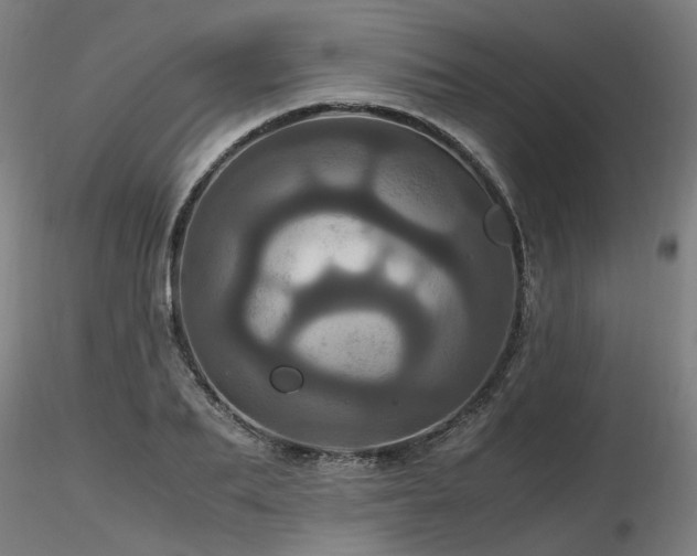 X0000116800887200912181315