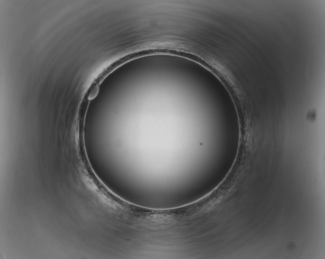 X0000116800888200912181315