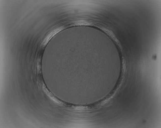 X0000116800889200912181315