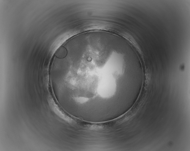 X0000116800890200912181315
